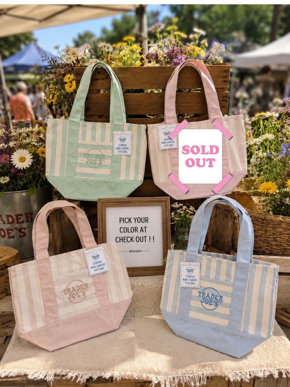 Trader Joe’s Striped Mini Canvas Tote Bags